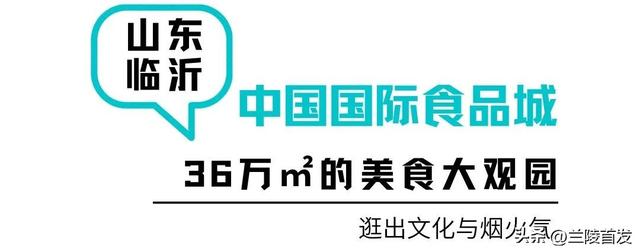 重磅！临沂又一新地标，来了！