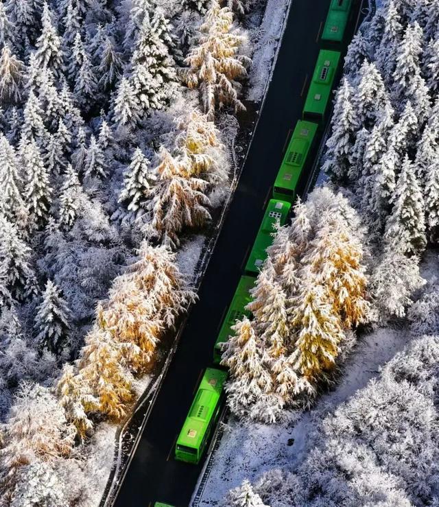 九寨沟冬日限定皮肤上线！快来九寨沟赏雪林彩池啦~