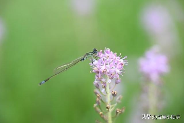 Z卡口神级镜头！尼康“NIKKOR Z 24-120mm f/4 S”的高人气原因