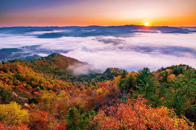 9月下旬-10月初，这8个地方的金秋巅峰期，赏秋正是好时候