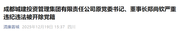 城投集团董事长被查！