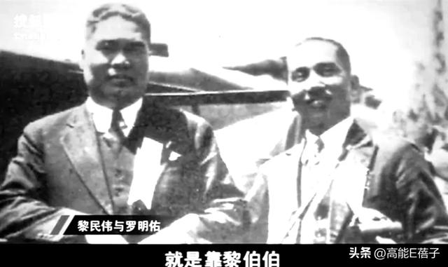 黎姿的珠光宝气，黎宣的绿叶人生：传奇电影世家的香江旧梦（上）