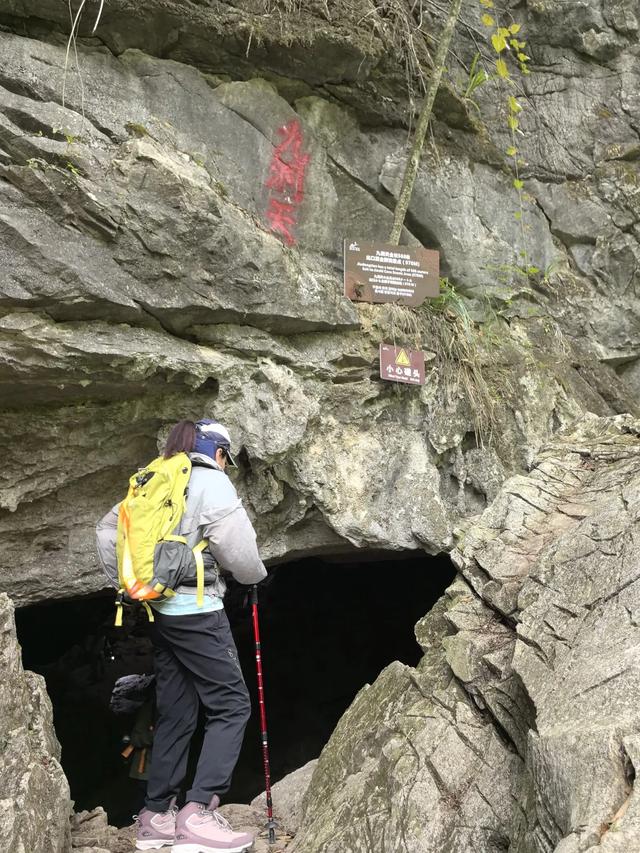 带小朋友去贵州茂兰，连环探洞加漏斗原始森林徒步二日游全攻略！