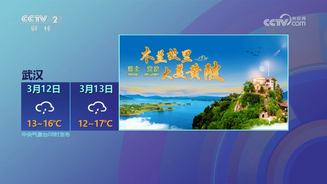 央视46次聚焦武汉黄陂
