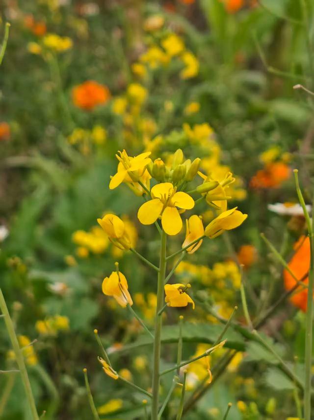 以自己的方式过好每个日出日落