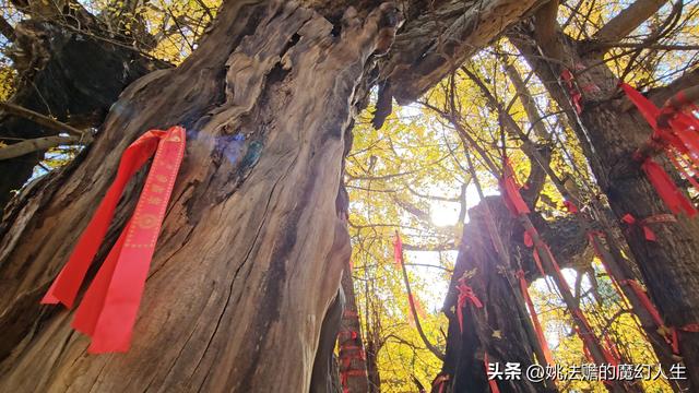 就这样结束吧！无论以后会在哪座山，2025完结撒花
