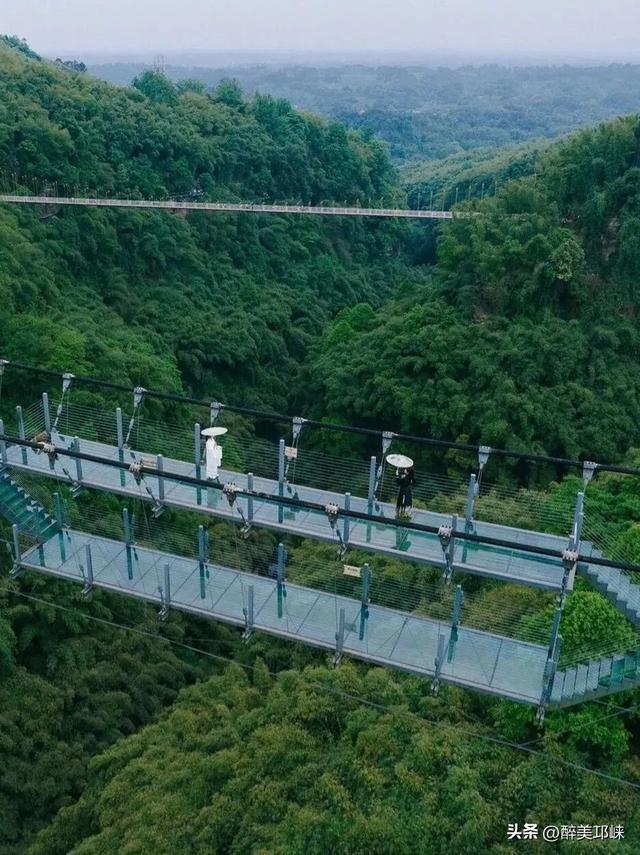 想轻松“拿下”川西竹海？这份攻略请收好~