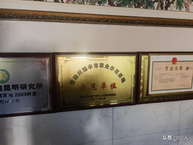 昆明→禄丰——滇西骑行散记之一