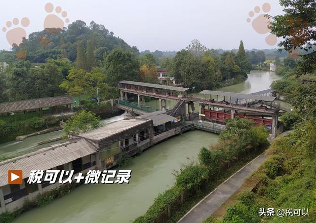 游郫都平乐寺：君平故里寻古意，一碗素茶享清幽