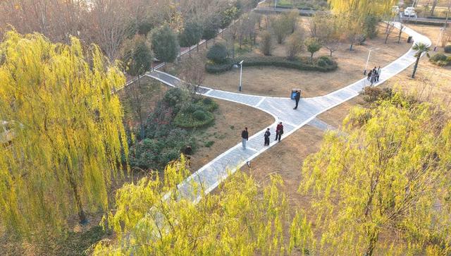 温县滨河公园，耐看！