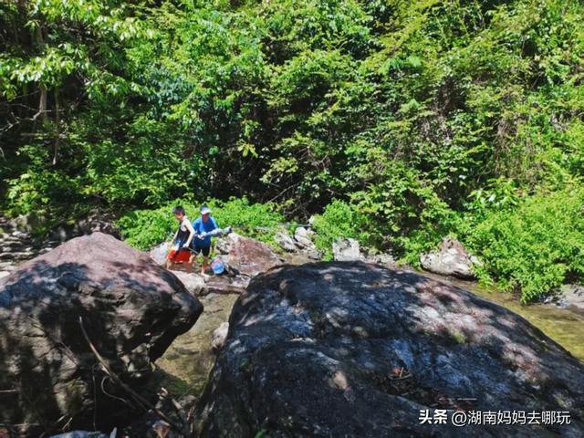 告别36℃热浪！长沙“小荔波”藏着28℃清凉，带娃溯溪玩不停！