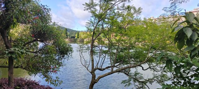 曲靖楚雄纪行之十四：查姆文化，哀牢山深处的彝魂诗篇