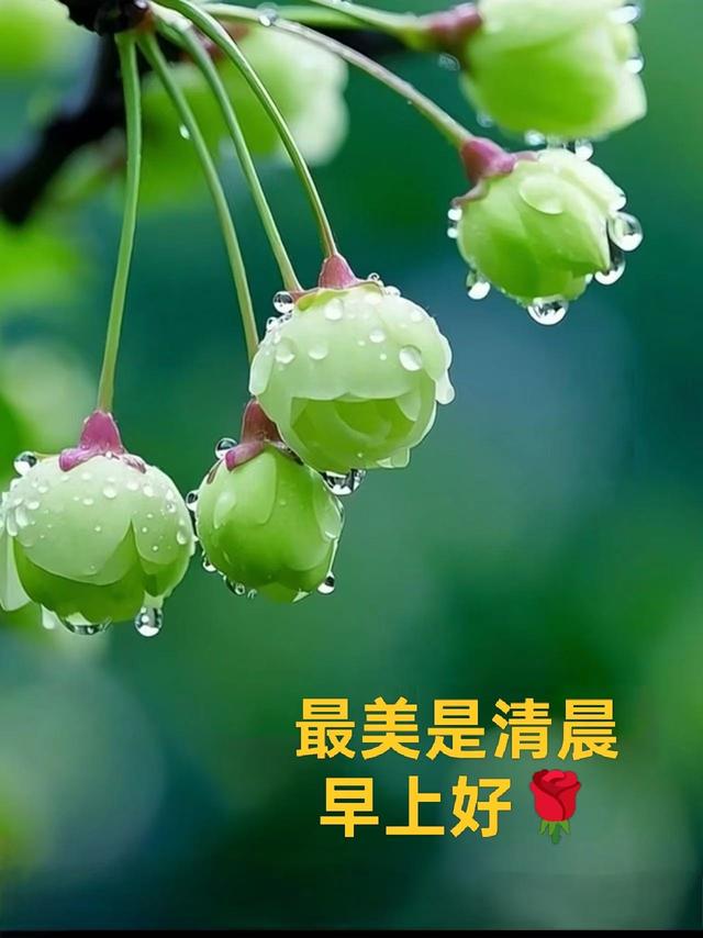 第82~86集 挚友“二翁”的精彩人生（鱼趣与用脚步丈量河山）