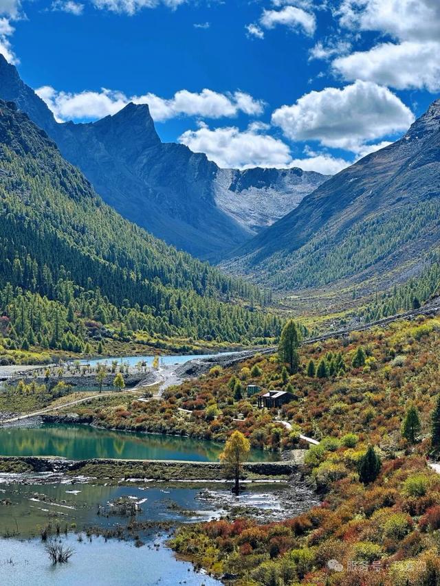 接下来，小金是这样的~