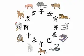 生肖以什么时间分界图片