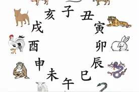 生肖以什么时间分界图片