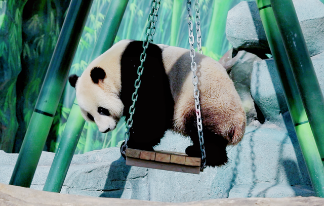 88元玩转兰州！“悠游兰州”冬春畅玩卡上线