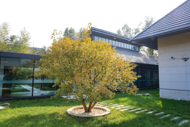 从从容容游刃有余！把江南的秋天“搬进”石景山——