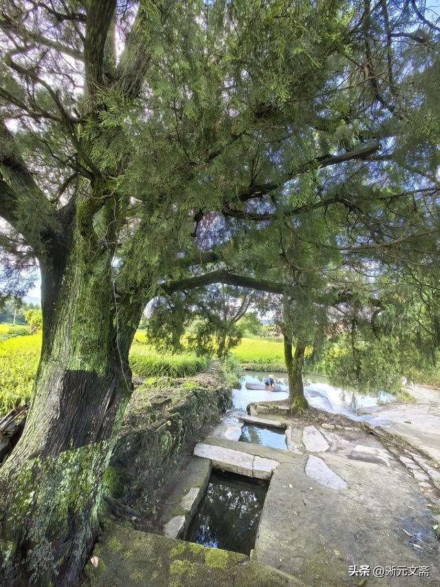桂林同学行（五）：唐宅，唐音。