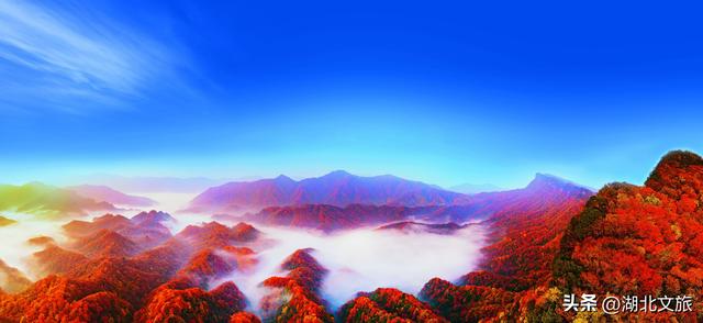 湖北出发！一键解锁“中国红叶第一山”，巴中送你一场秋日限定浪漫