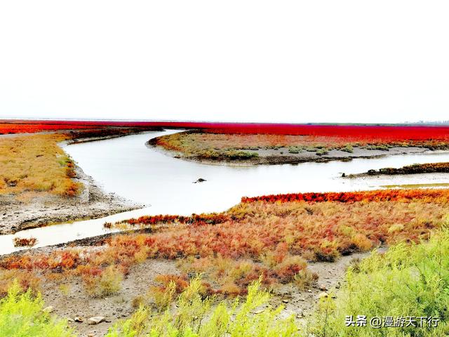 分享一个免费的红海滩，景色一点不差盘锦红海滩，