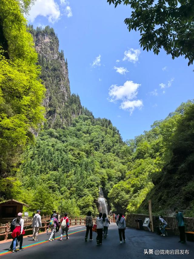 宕·寻22°的夏天！甘肃宕昌：药乡山水调出清凉康养“大处方”