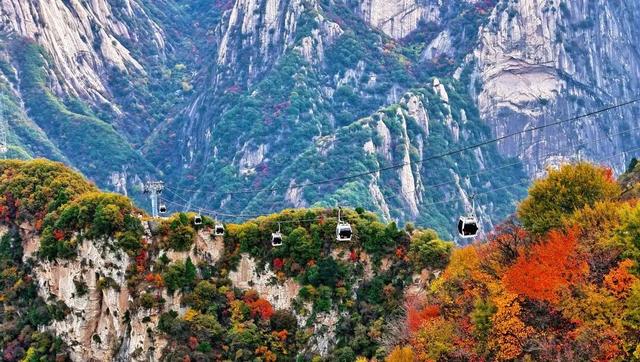 还能去哪儿赏最后一波秋色……