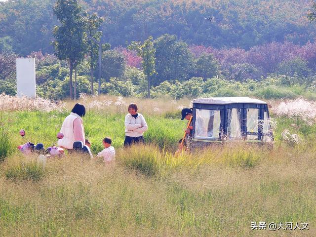 焦作生态植物园：限定浪漫，只有秋日