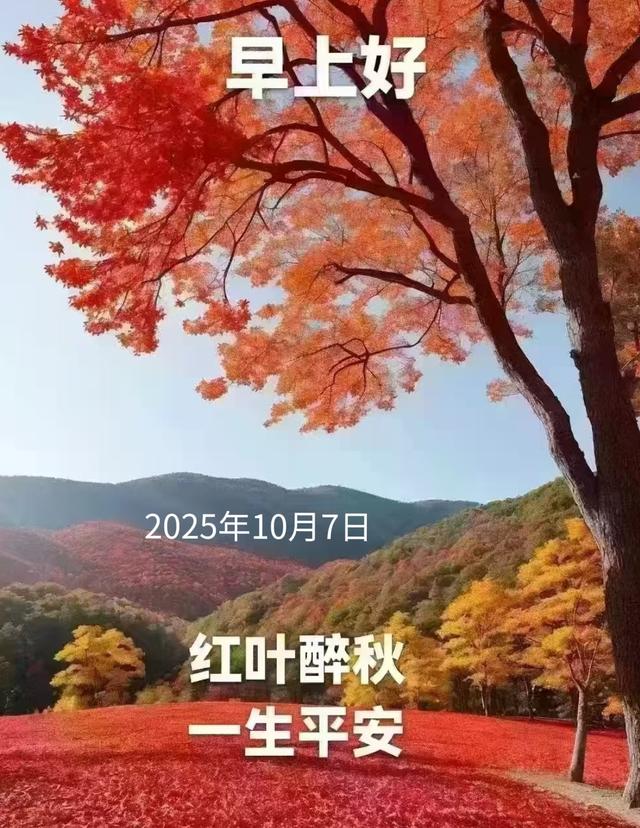 2025年10月7日早上好 早安周二愉快 早安精美美图温馨祝福语 早上好
