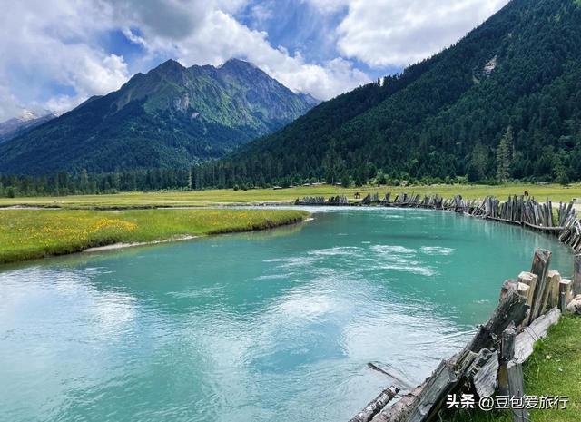 西藏林芝深度游：邂逅雪山桃花与森林的浪漫