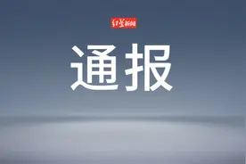 处罚，济南市教育局最新通报图片