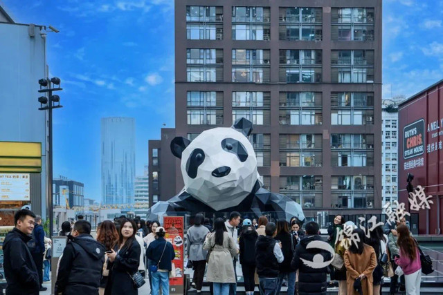 人在锦江，流行把大熊猫er带回家？