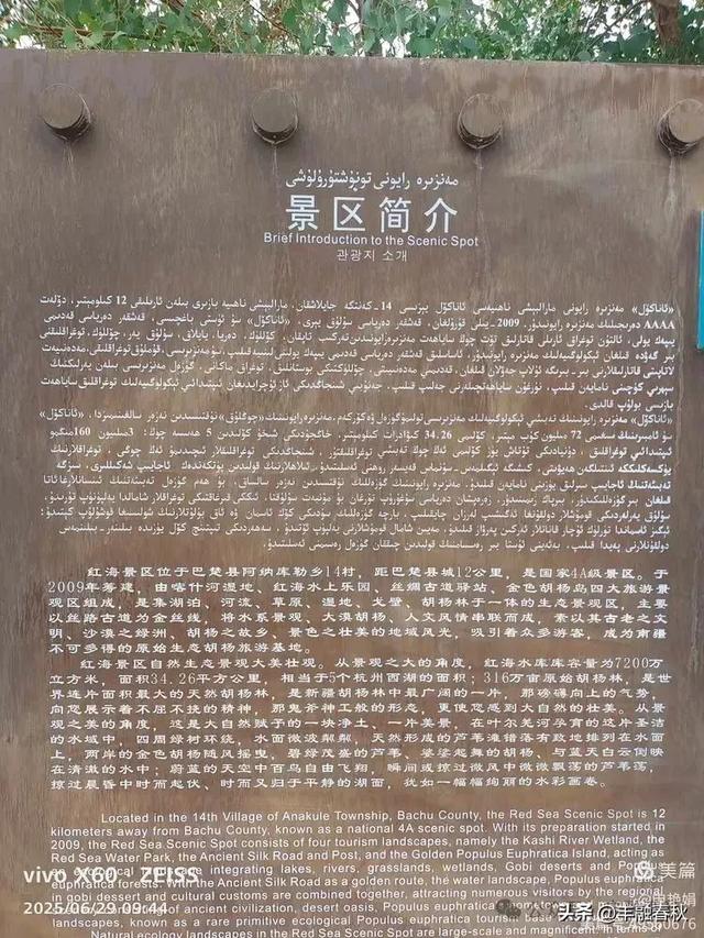 探秘新疆巴楚红海景区：自然与人文的交响｜ 申艳娟