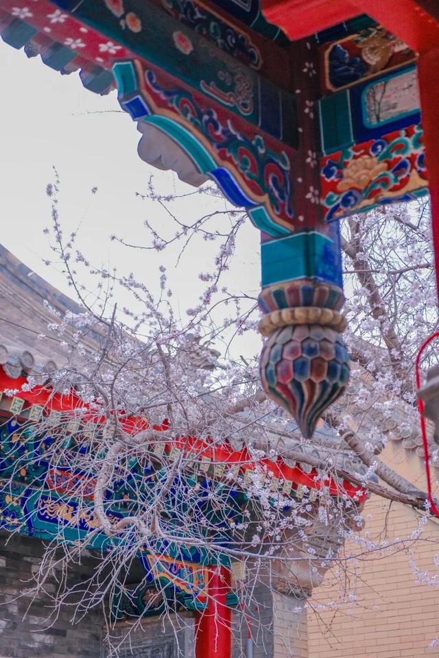 就在明天！公主府博物馆“桃映红楼”华服日正式开启，超多活动等你来玩