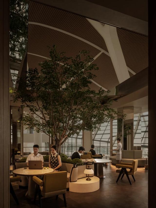 CCD | 雲間憩所，心靈驛站​