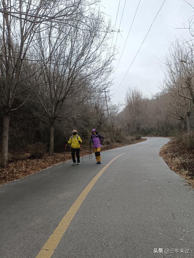 无为在歧路，何处寻雾凇