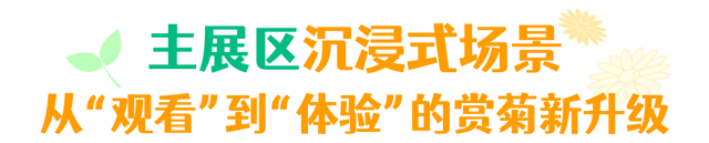 年度金秋盛宴来了，武汉城建集团邀您逛菊展、赏名菊、拍美照！