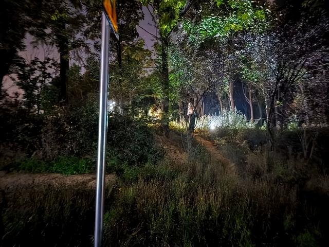 夜幕下的夏日狂欢！郑州树木园里成群结队摸“爬叉”