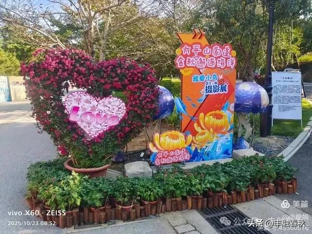 菊绽秋阳里，暗香绕中山｜申艳娟