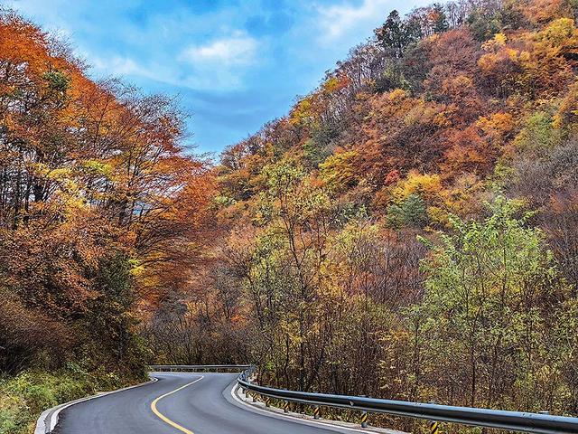 2024深秋四川行19 神农架风景区2 华中屋脊的五彩秘境