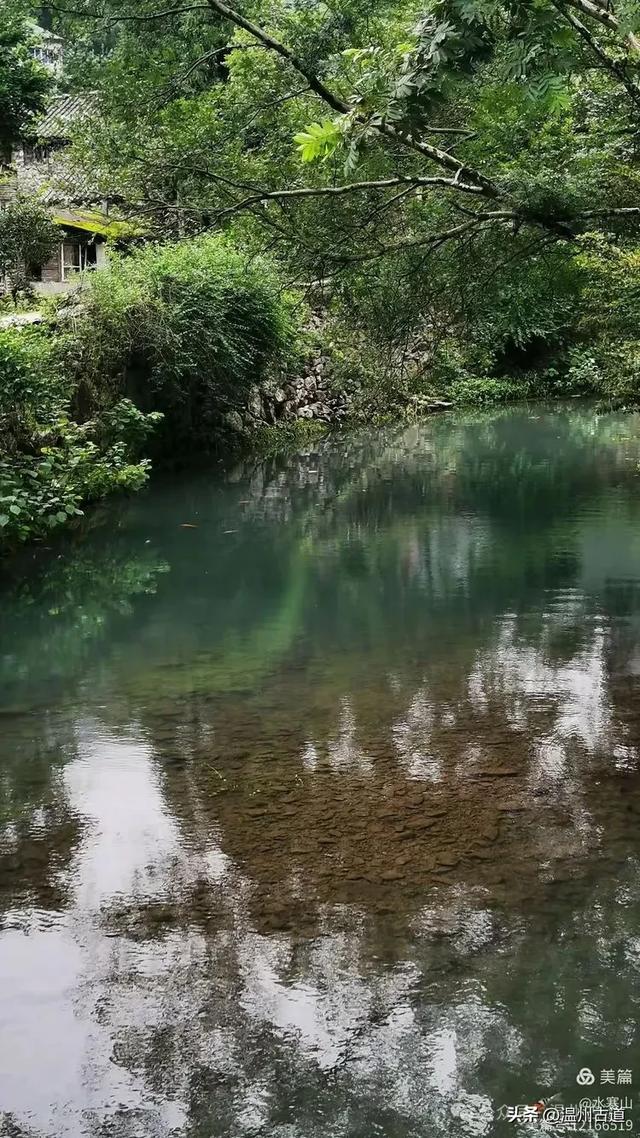 这座温州最具桃源的古村，避暑佳地，你可去过？
