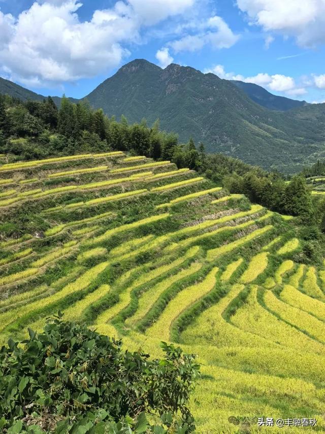 童话世界，田园风光｜永畅