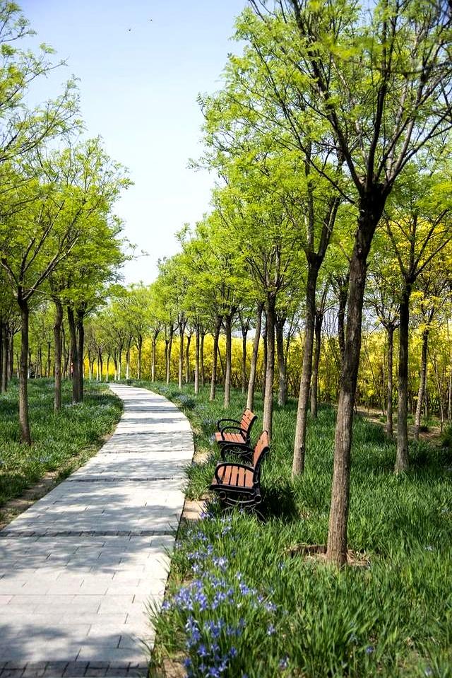 天津必去十大景点排行榜，这才是天津最值得去的10个景点，收好！