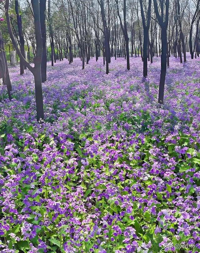 郑州遛娃新去处：满足全年龄段孩子需求，关键还免费