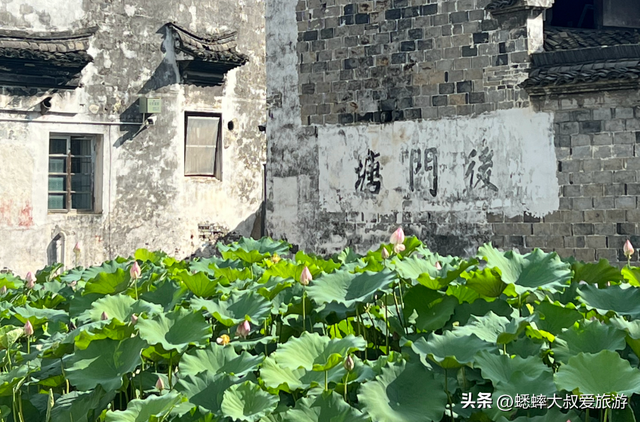 年龄长达“1700岁”的浙江原始古镇，拥有惊艳古建，可0元游玩！