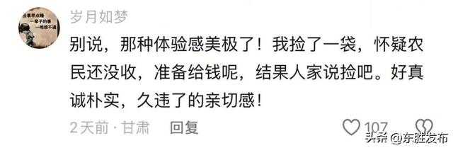 内蒙古土豆，“捡”的咋比买的还香？