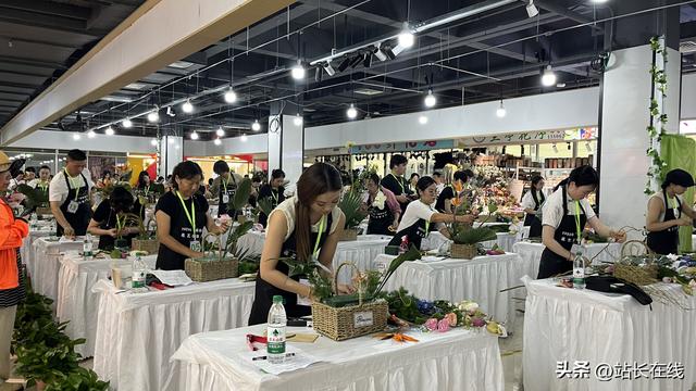 “荷”其浪漫！姑苏区开展“荷诞日”主题文化活动