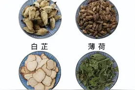 断崖式降温来袭，常备一个中成药，帮孩子赶跑鼻炎、过敏性鼻炎！图片