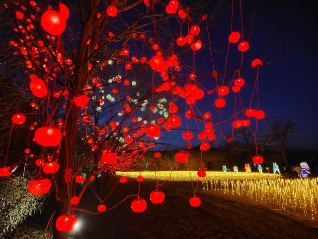 百年古仓闹元宵！丰图义仓嘉年华非遗、汤圆、光影盛宴邀您赴约