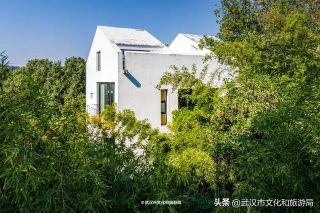 直冲20°C！武汉赏秋天花板，上新3个玩法